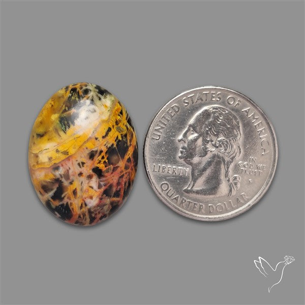 Pilbara Jasper Cabochon