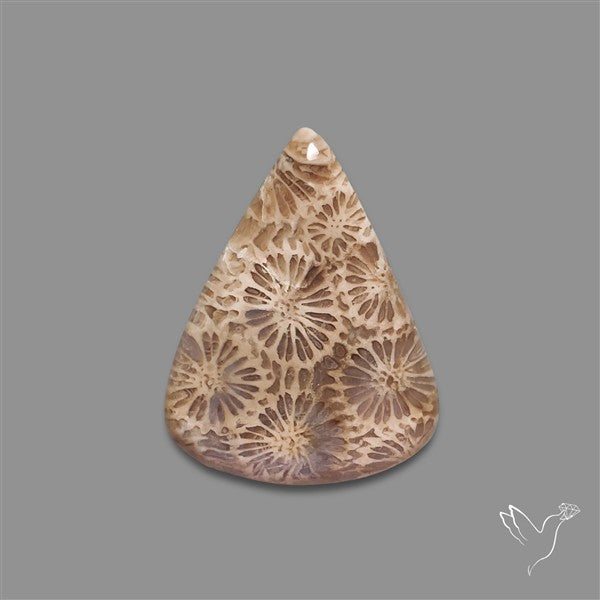 Fossil Coral Cabochon