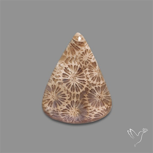 Fossil Coral Cabochon