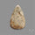 Fossil Coral Cabochon