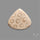 Fossil Coral Cabochon