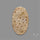 Fossil Coral Cabochon