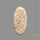 Fossil Coral Cabochon