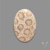 Fossil Coral Cabochon