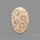 Fossil Coral Cabochon