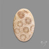 Fossil Coral Cabochon