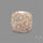 Fossil Coral Cabochon