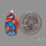 Spiny Oyster Mohave Turquoise Cabochon