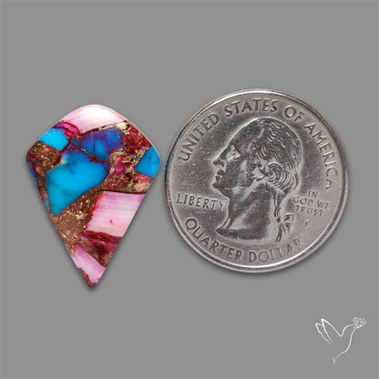Spiny Oyster Mohave Turquoise Cabochon