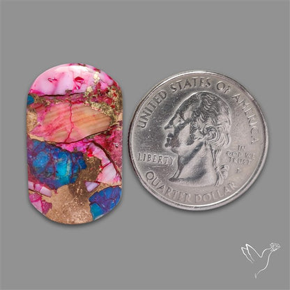 Spiny Oyster Mohave Turquoise Cabochon