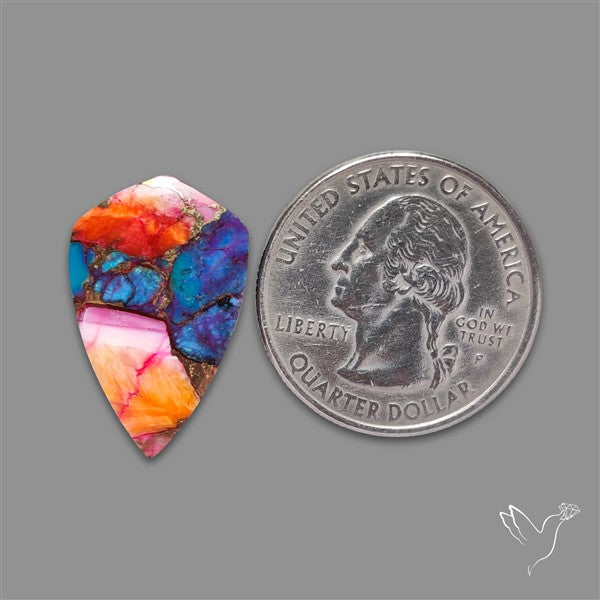 Spiny Oyster Mohave Turquoise Cabochon