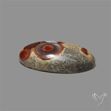 Peanut Obsidian Cabochon