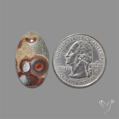 Peanut Obsidian Cabochon