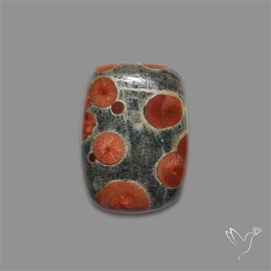 Peanut Obsidian Cabochon