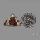 Peanut Obsidian Cabochon