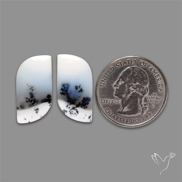 Dendritic Opal Pair