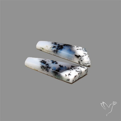 Dendritic Opal Pair