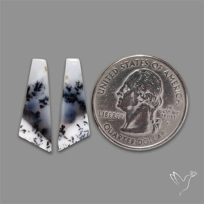Dendritic Opal Pair