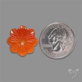 Carnelian Agate Flower Carving