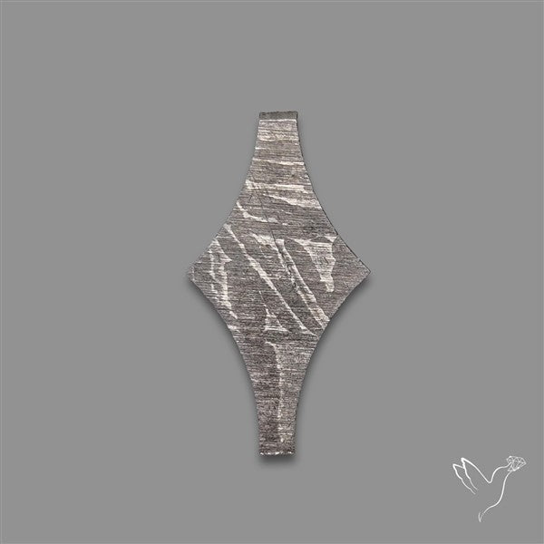 Rare Gibeon Meteorite Fancy Shaped