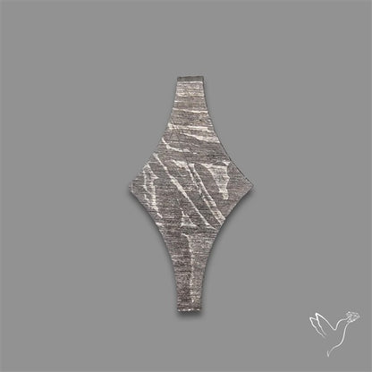 Rare Gibeon Meteorite Fancy Shaped