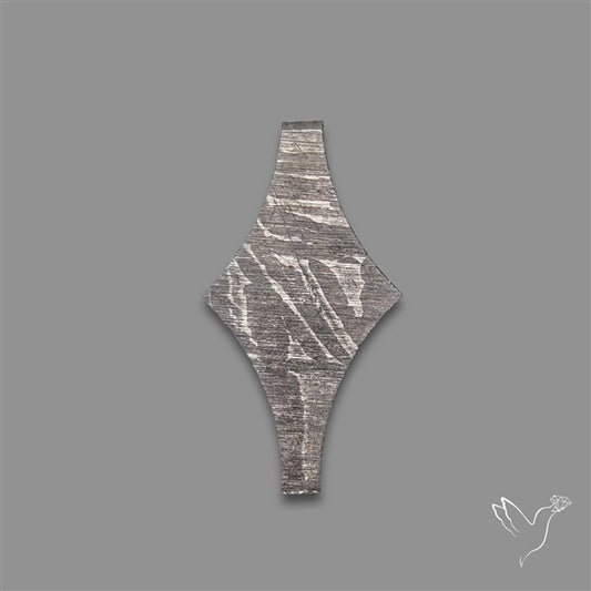 Rare Gibeon Meteorite Fancy Shaped