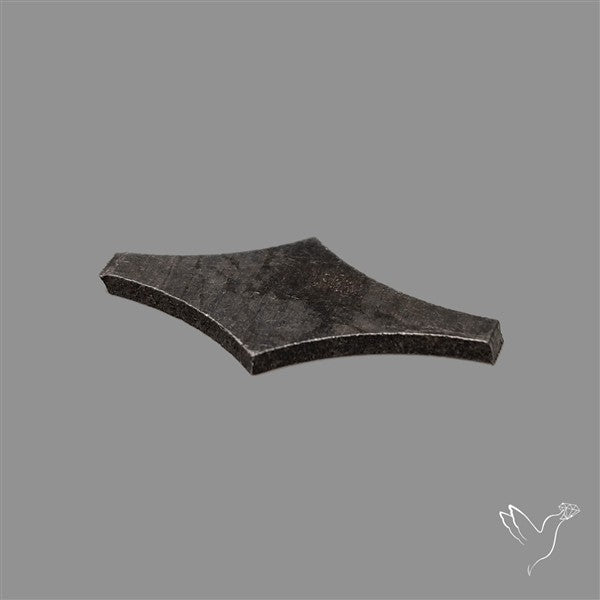 Rare Gibeon Meteorite Fancy Shaped