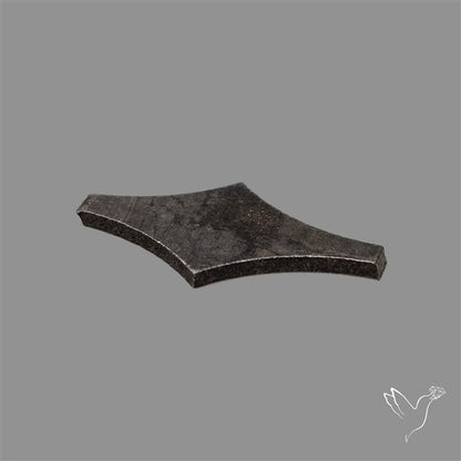 Rare Gibeon Meteorite Fancy Shaped