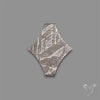 Rare Gibeon Meteorite Fancy Shaped