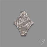 Rare Gibeon Meteorite Fancy Shaped