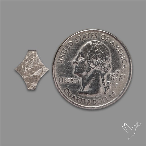 Rare Gibeon Meteorite Fancy Shaped