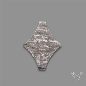 Rare Gibeon Meteorite Fancy Shaped