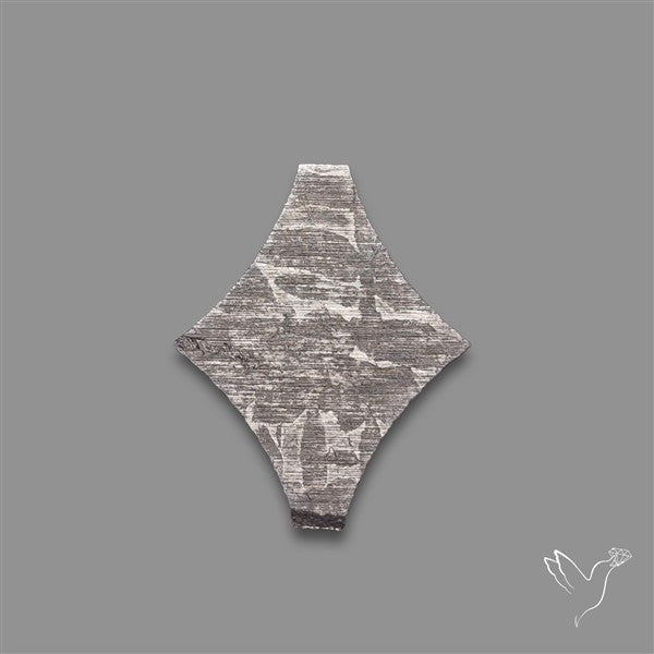 Rare Gibeon Meteorite Fancy Shaped