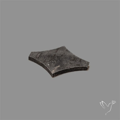 Rare Gibeon Meteorite Fancy Shaped