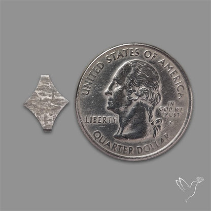 Rare Gibeon Meteorite Fancy Shaped