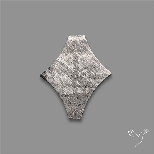 Rare Gibeon Meteorite Fancy Shaped