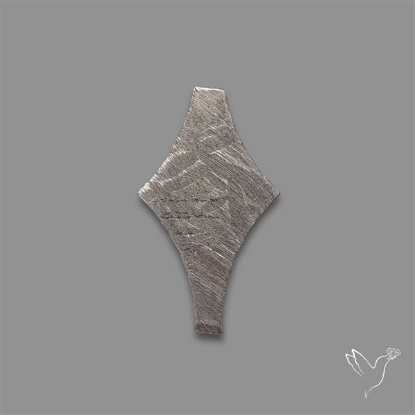 Rare Gibeon Meteorite Fancy Shaped