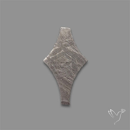 Rare Gibeon Meteorite Fancy Shaped