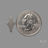 Rare Gibeon Meteorite Fancy Shaped