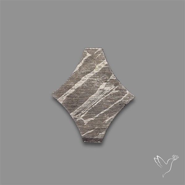 Rare Gibeon Meteorite Fancy Shaped