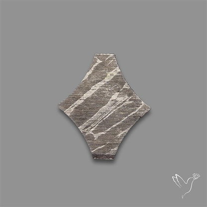 Rare Gibeon Meteorite Fancy Shaped