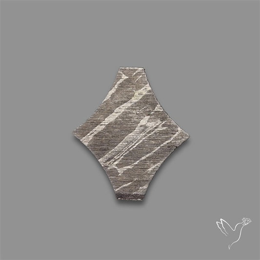 Rare Gibeon Meteorite Fancy Shaped