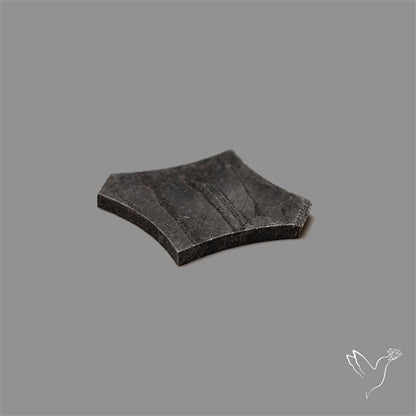 Rare Gibeon Meteorite Fancy Shaped