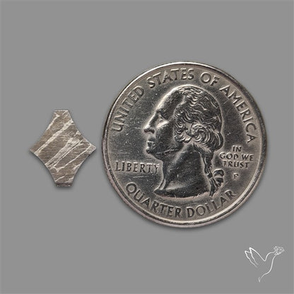 Rare Gibeon Meteorite Fancy Shaped