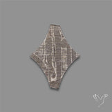Rare Gibeon Meteorite Fancy Shaped
