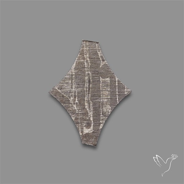 Rare Gibeon Meteorite Fancy Shaped