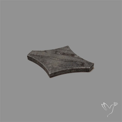Rare Gibeon Meteorite Fancy Shaped