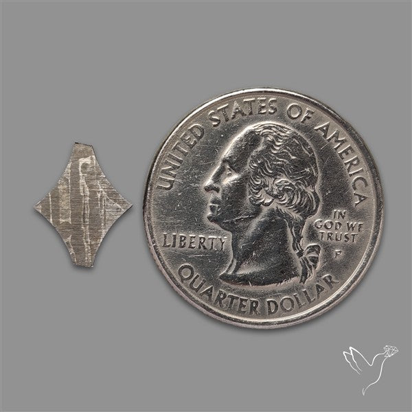 Rare Gibeon Meteorite Fancy Shaped
