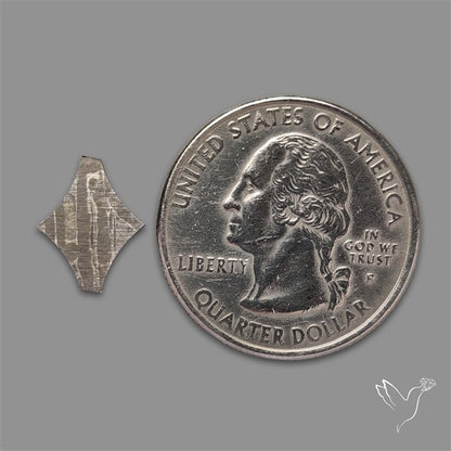 Rare Gibeon Meteorite Fancy Shaped
