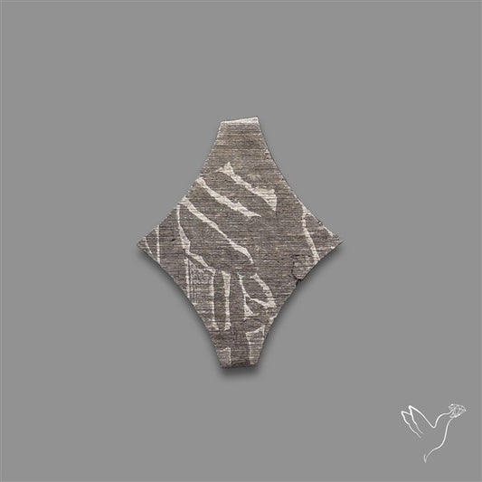 Rare Gibeon Meteorite Fancy Shaped